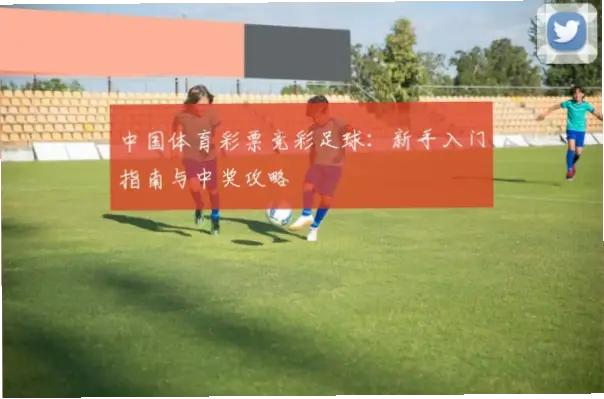 体育彩票足球竞猜怎么买？新手入门指南